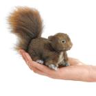 Mini Red Squirrel By Folkmanis Puppets (Created by) Cover Image