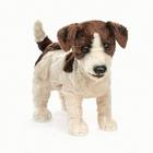 Jack Russell Terrier Puppet By Folkmanis Puppets (Created by) Cover Image