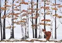 Fox and Birches Deluxe Boxed Holiday Cards By Linzi McGivern (Illustrator) Cover Image