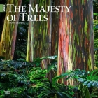 Majesty of Trees, the 2024 Square By Browntrout (Created by) Cover Image